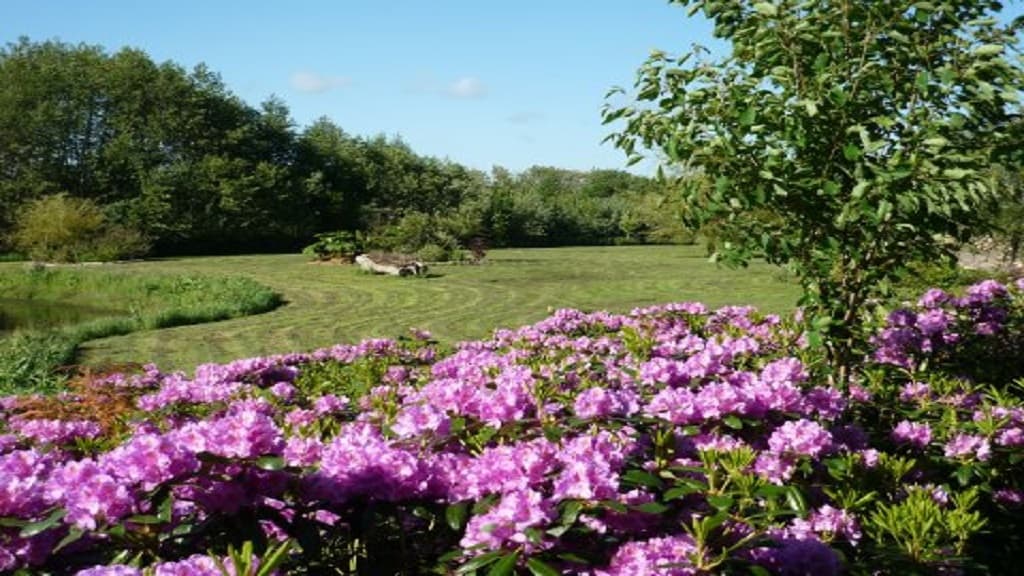 Farm Camping Ny Vestermark