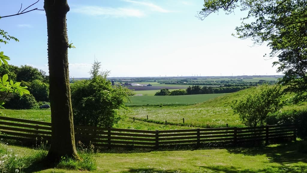 Thise Hills