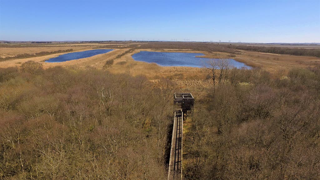 Lookout Tower in Store Vildmose