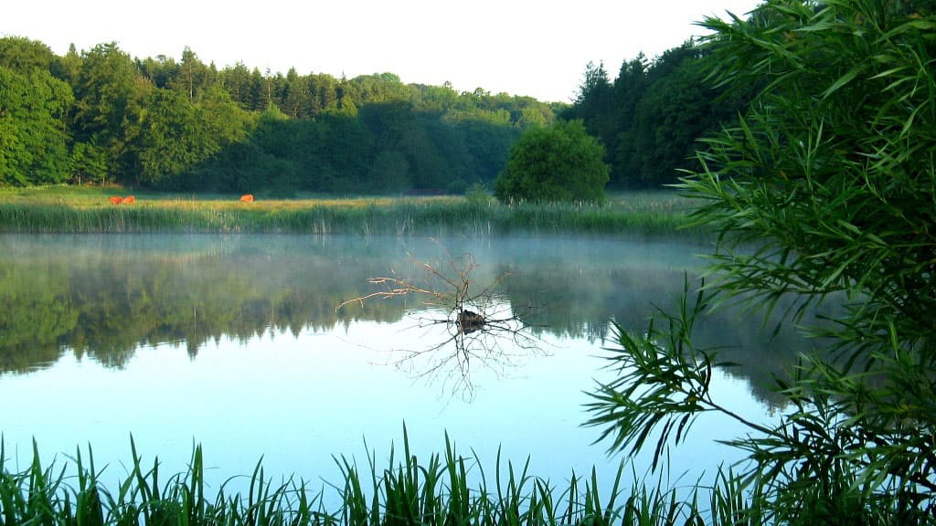 Hindemade - a lake recreated