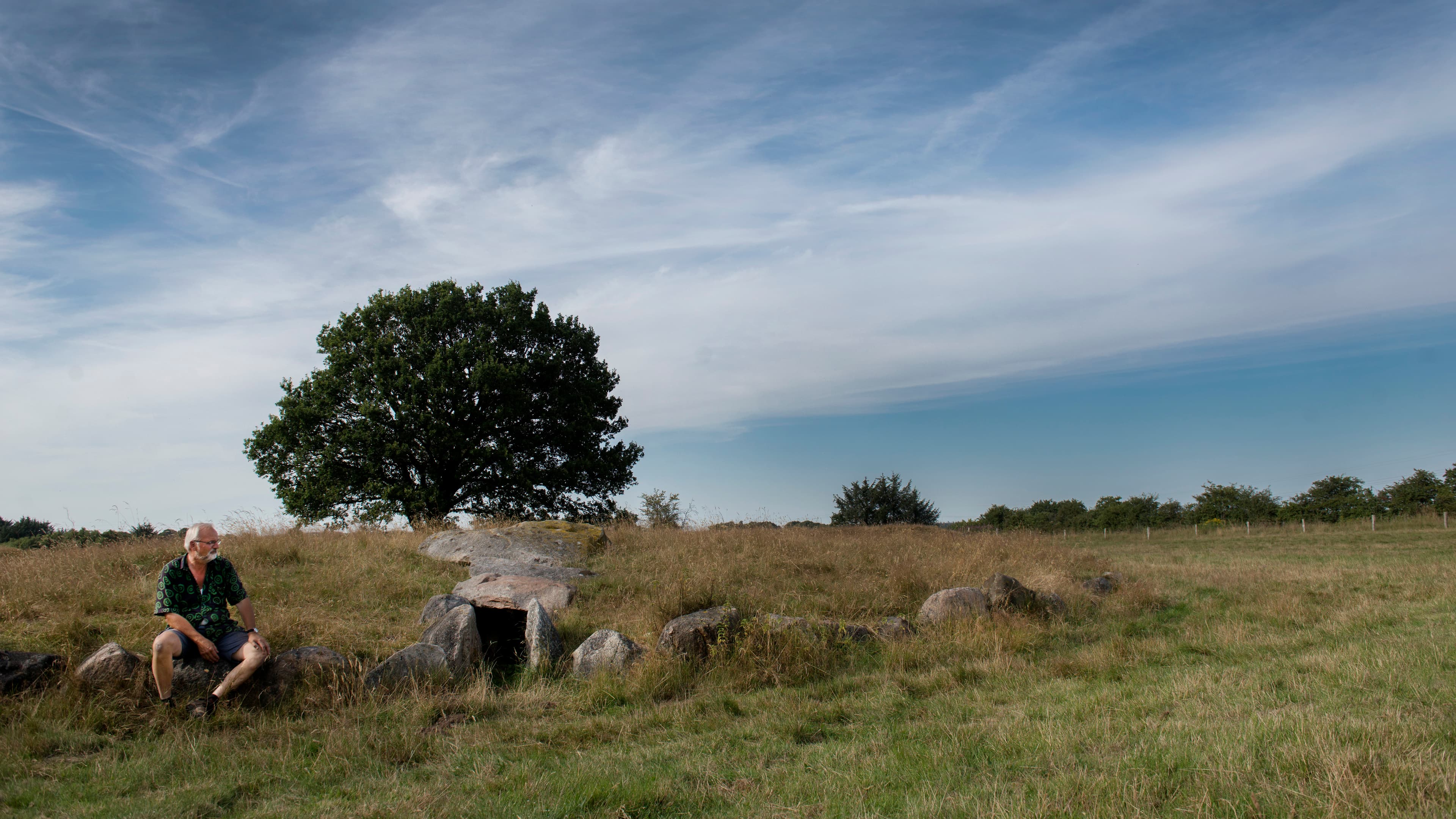 Vedsted Dolmens