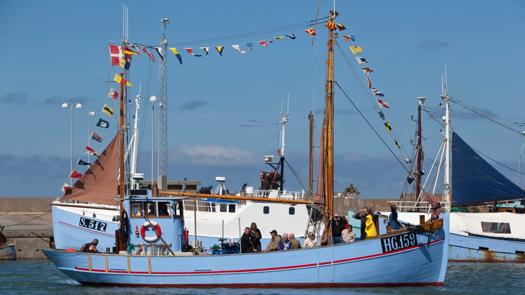 Hirtshals Fish Festival - lots of fresh fish