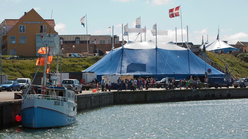 Hirtshals Fish Festival - lots of fresh fish