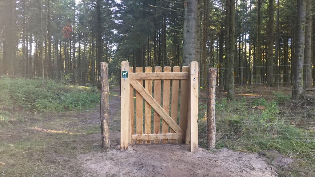 Dog-friendly zone – Tornby Klitplantage