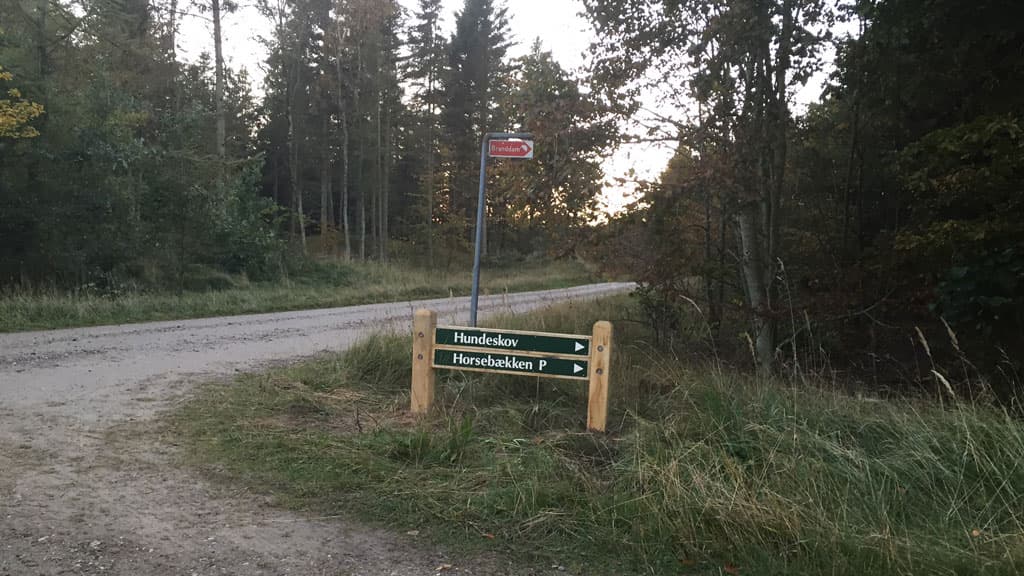 Dog-friendly zone – Tornby Klitplantage