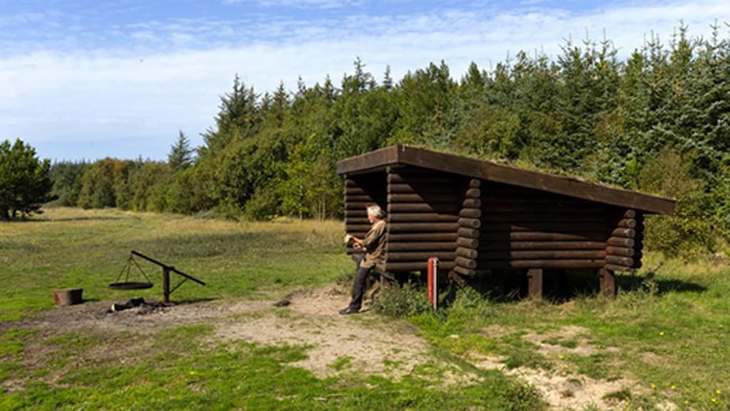 Shelterplads in Tornby Klitplantage