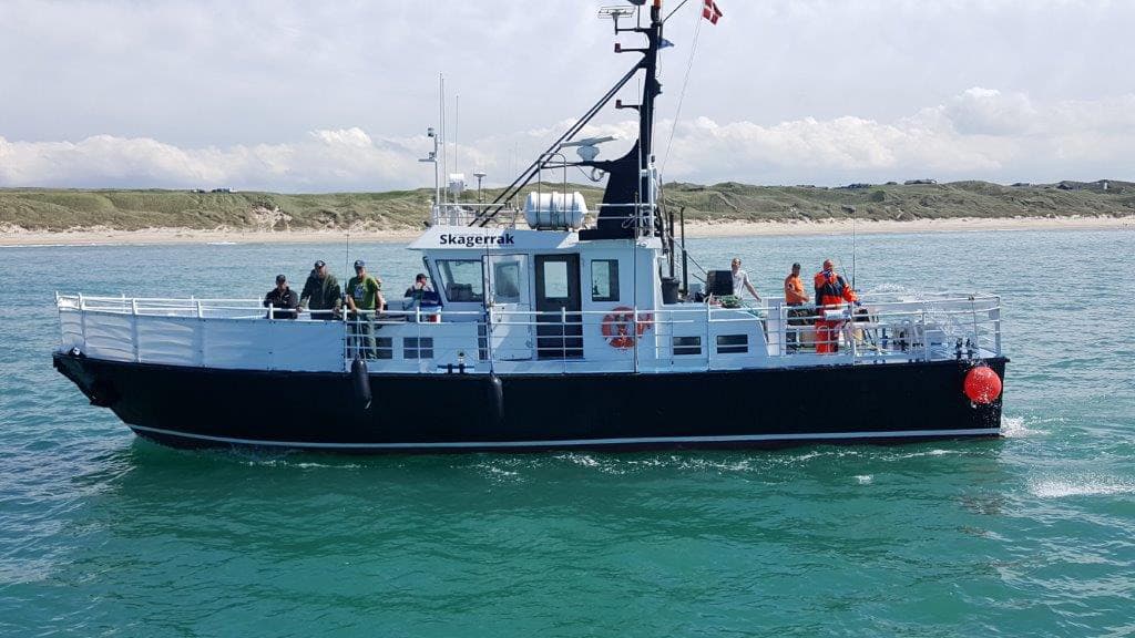 Sea angling with M/S Albatros and M/S Skagerrak, Hirtshals
