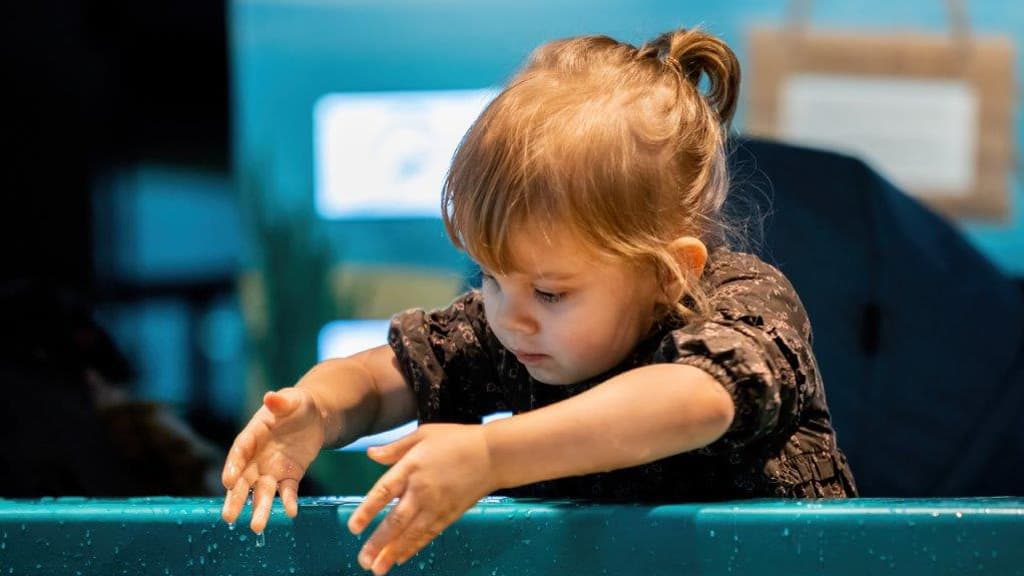 Das Nordsee Ozeanarium