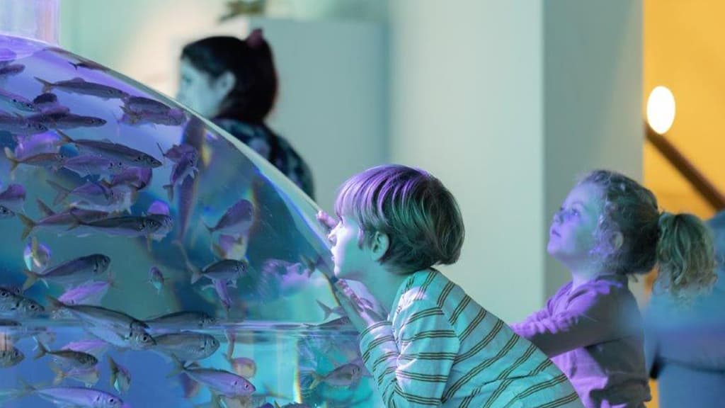 Das Nordsee Ozeanarium