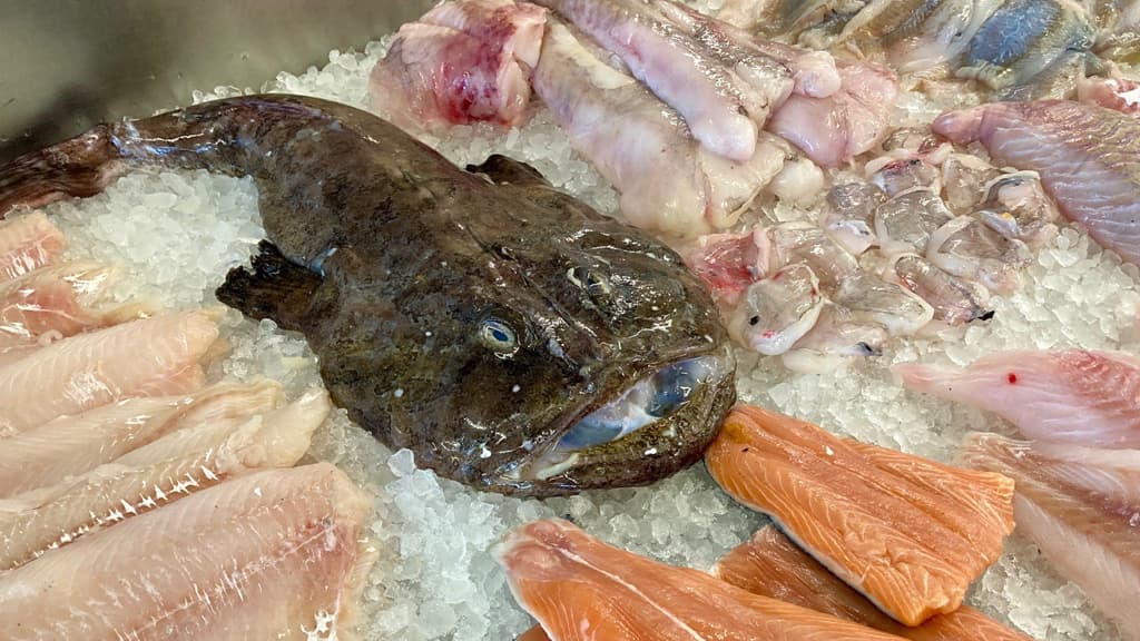Fisken Hirtshals (fish shop)