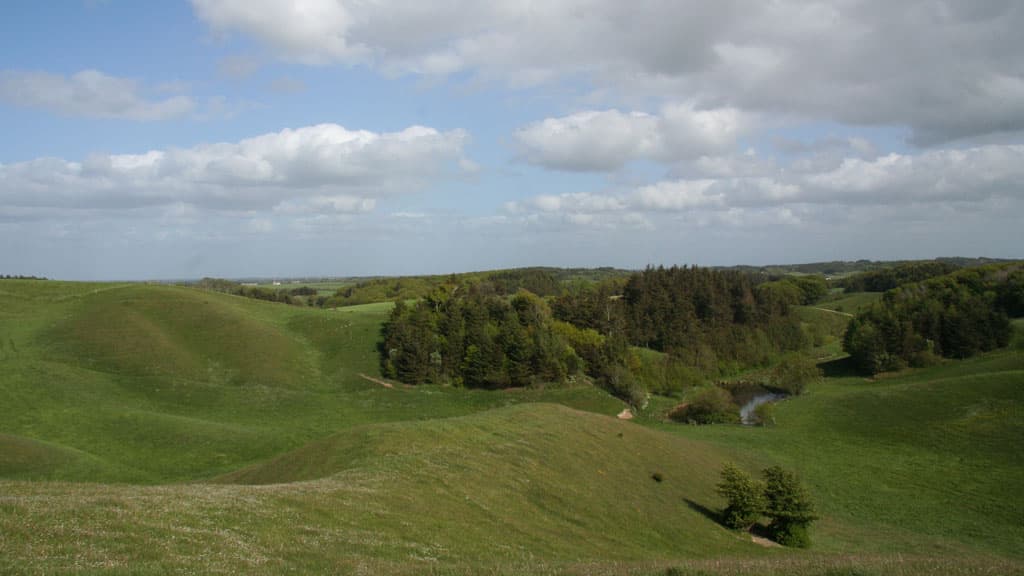 Tornby Bjerg (hill)