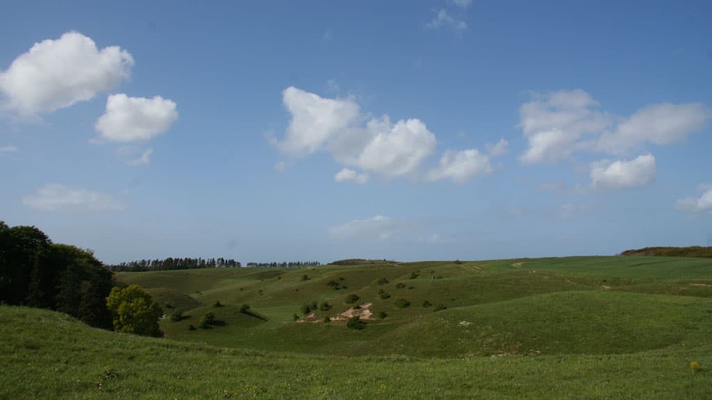 Tornby Bjerg (hill)