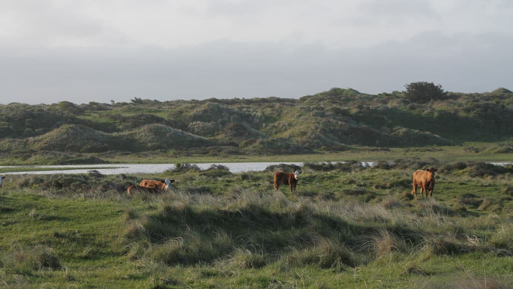 Vandplasken (protected area)