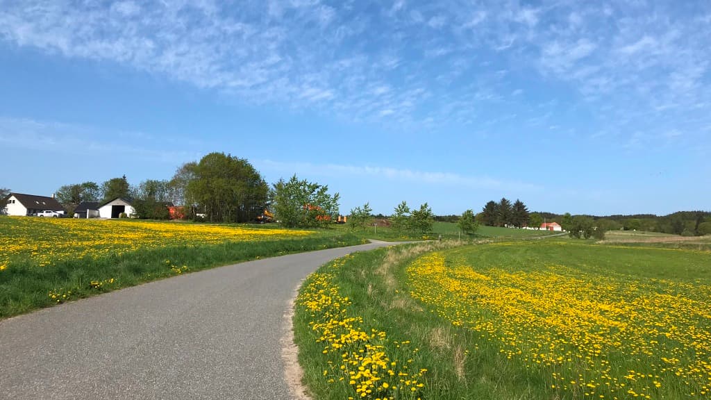 Tranum Lys og Glas - B&B