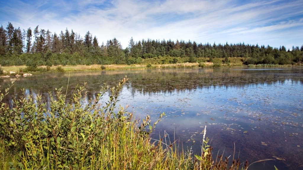 Bratbjerg Søerne