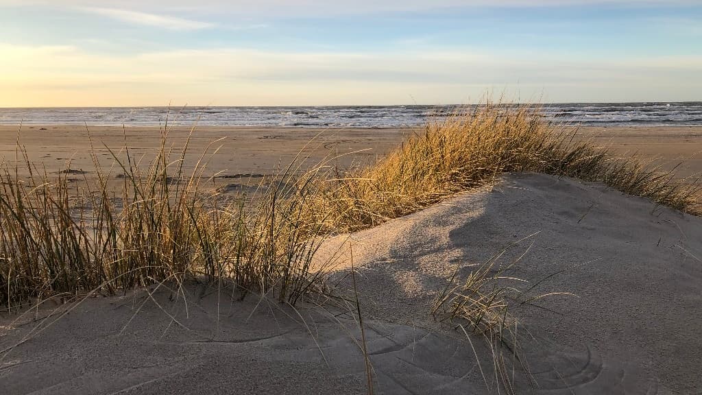 Saltum Strand