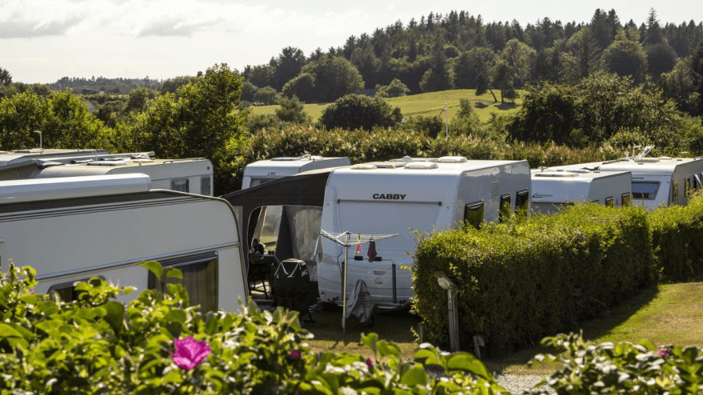 DCU Camping Tranum