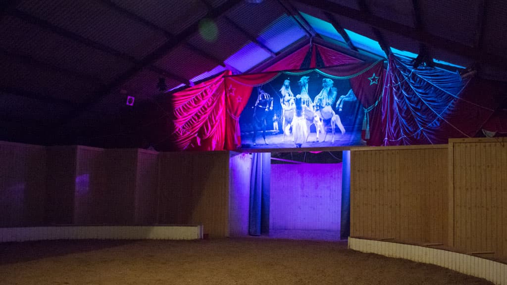 The Cirkus Farm