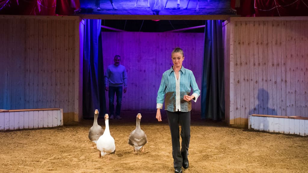 The Cirkus Farm