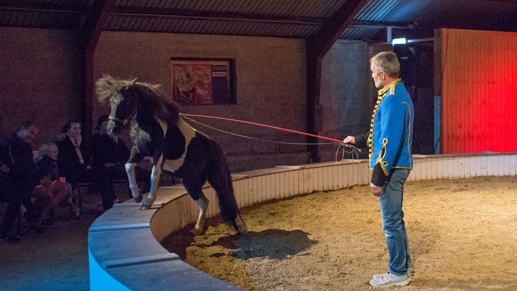 The Cirkus Farm