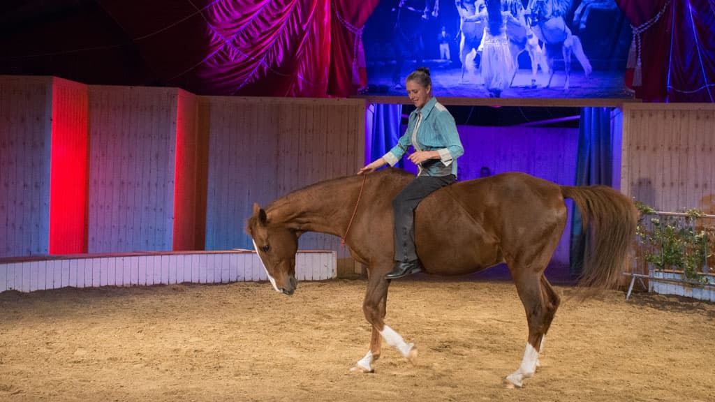 The Cirkus Farm