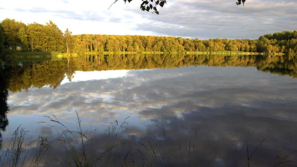 Estrup Dam