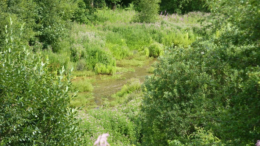Gravlev Kilde 