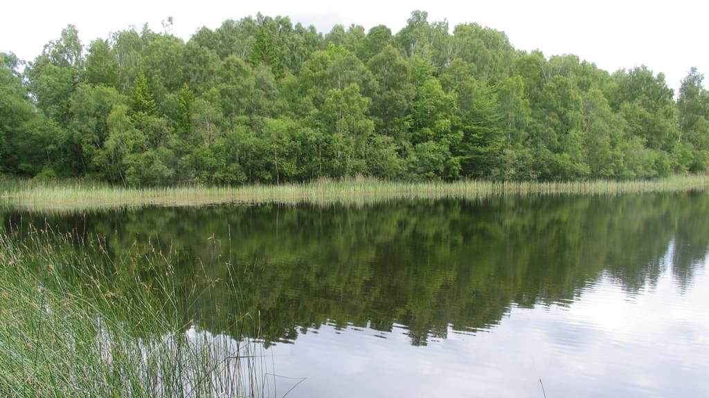 Teglsø 