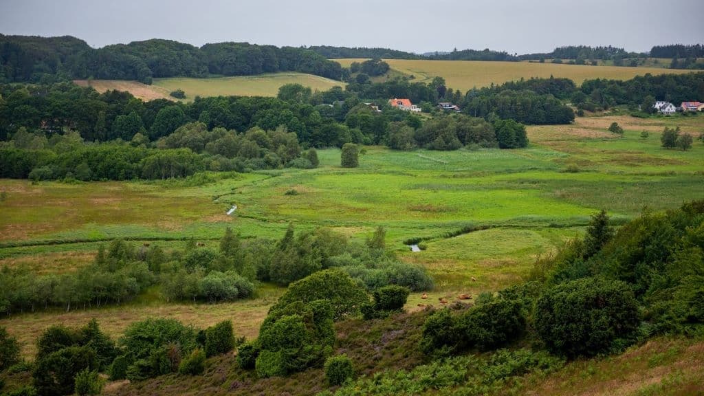 Lindenborg Å and Valley
