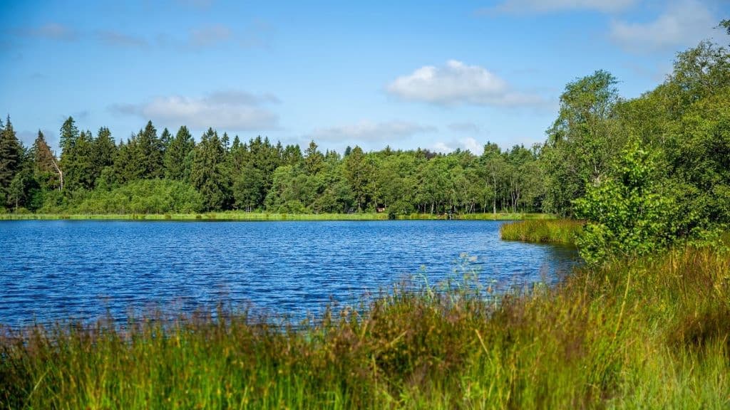 Fishing in Rebild