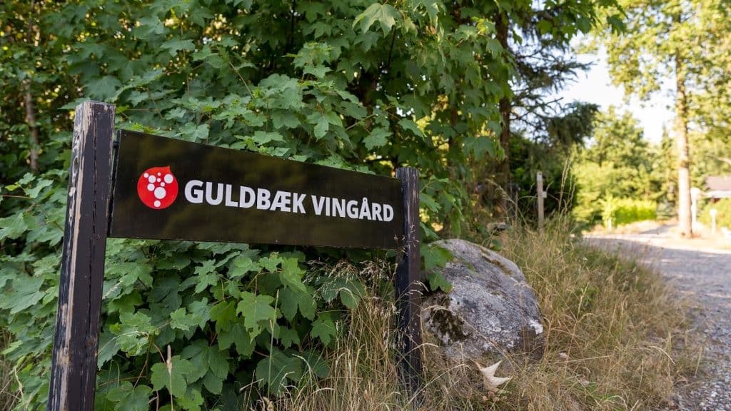 Guldbæk Vineyard