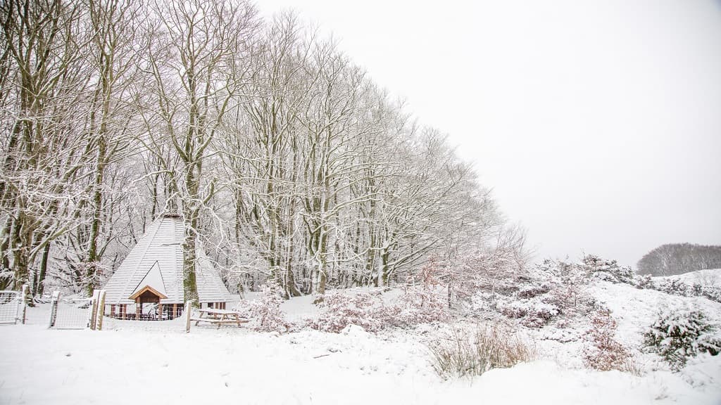 The Max Henius Bonfire Hut
