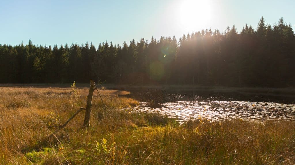 Bregnesøen
