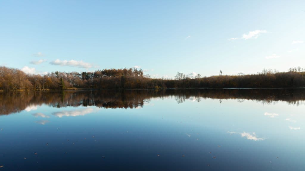 Estrup Dam