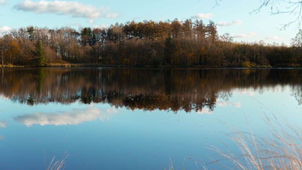 Estrup Dam