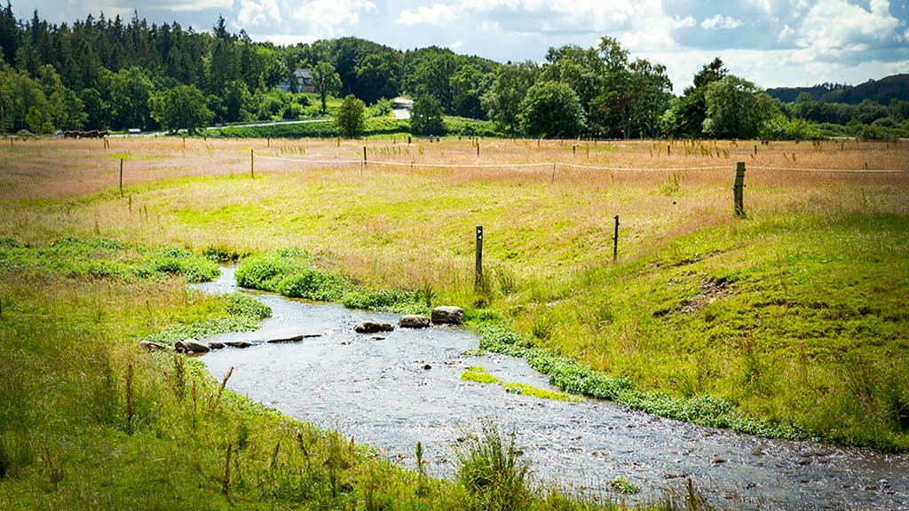 Kovads Bæk