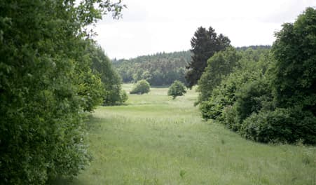 Angling in Lindenborg Å