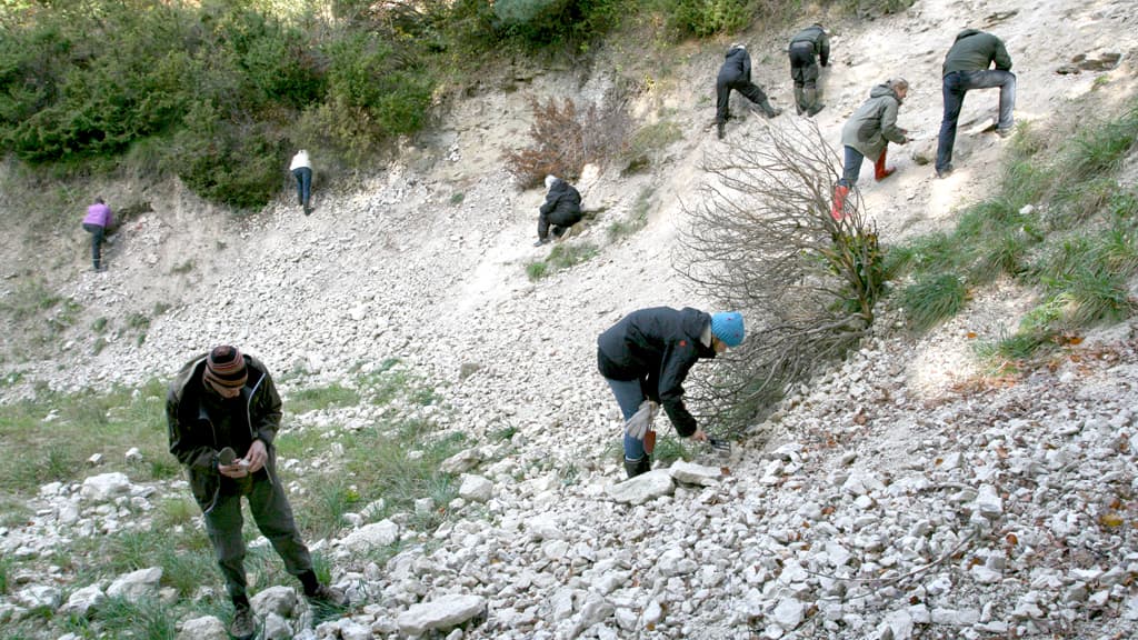 Skillingbro Limestone Quarry