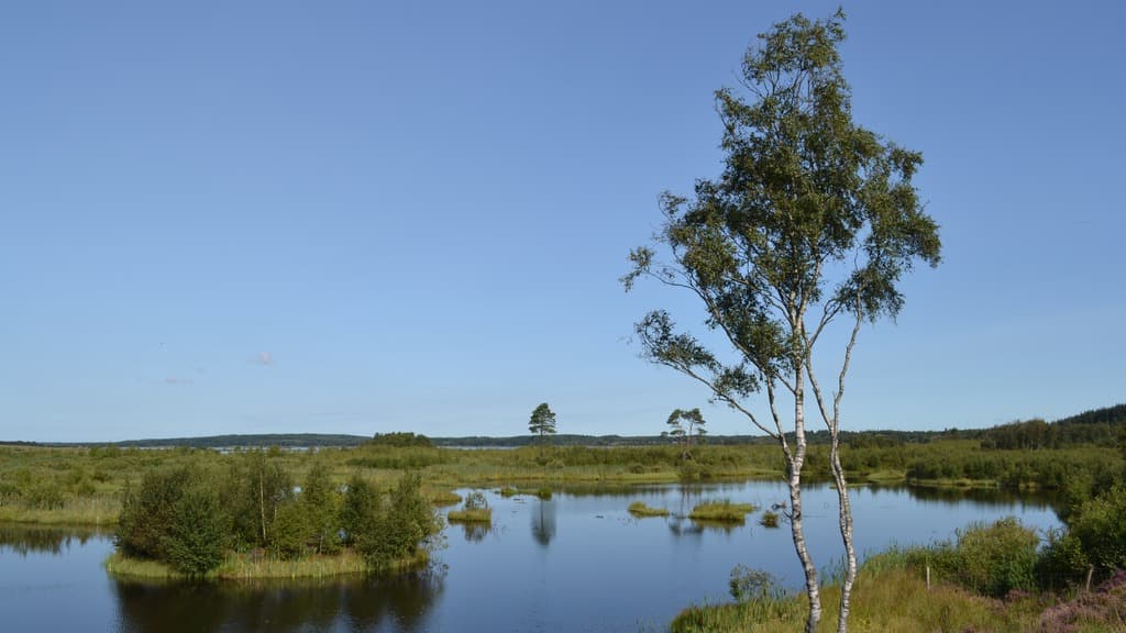 Bølling Sø near Silkeborg