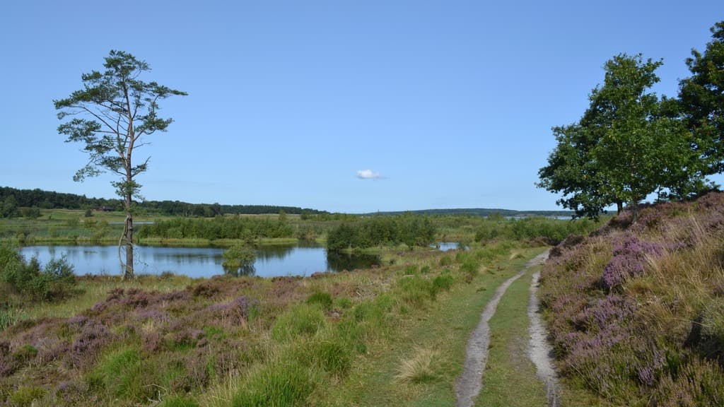 Bølling Sø near Silkeborg