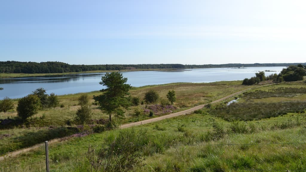 Bølling Sø near Silkeborg