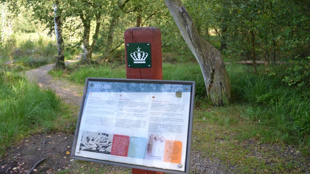 Bølling Sø near Silkeborg