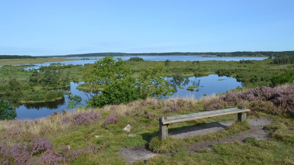 Bølling Sø near Silkeborg
