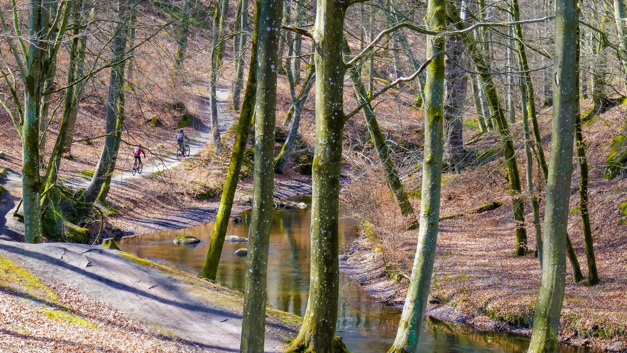 Gedebjerget - Sæby