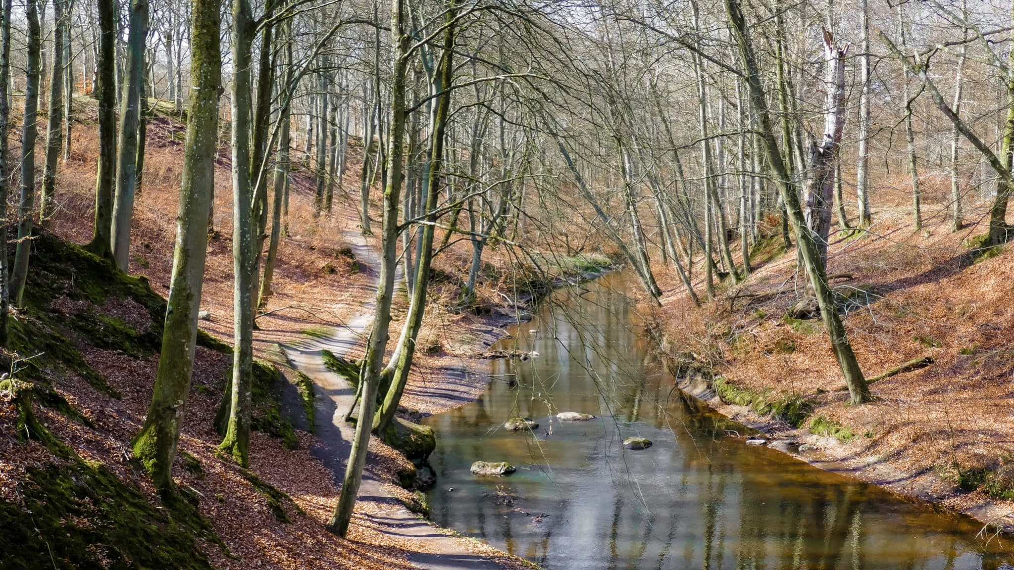 Gedebjerget - Sæby