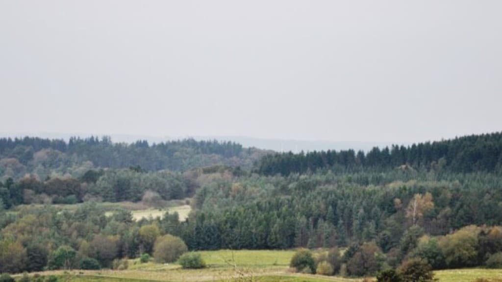 Gærum Plantage