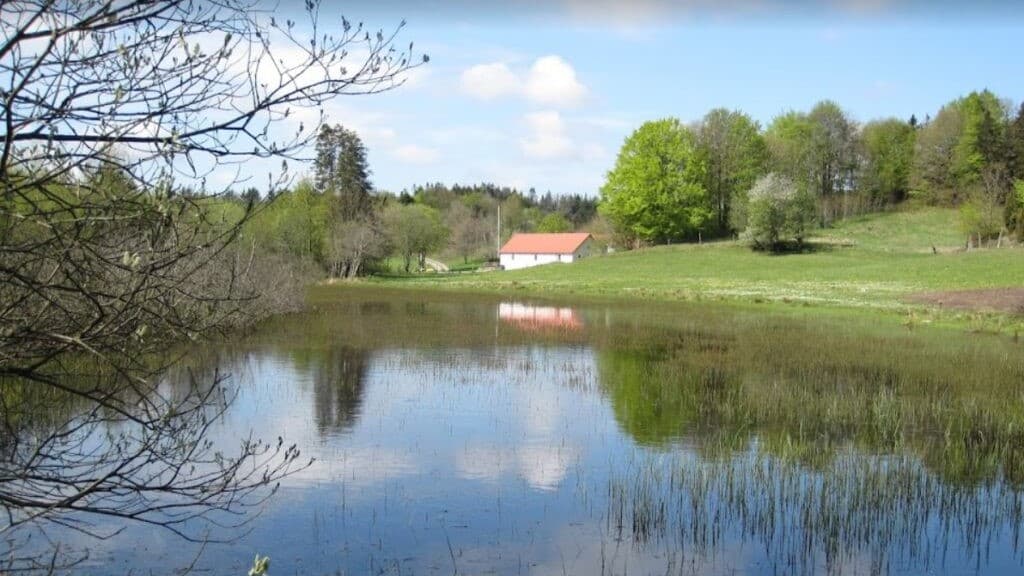 Gærum Plantage
