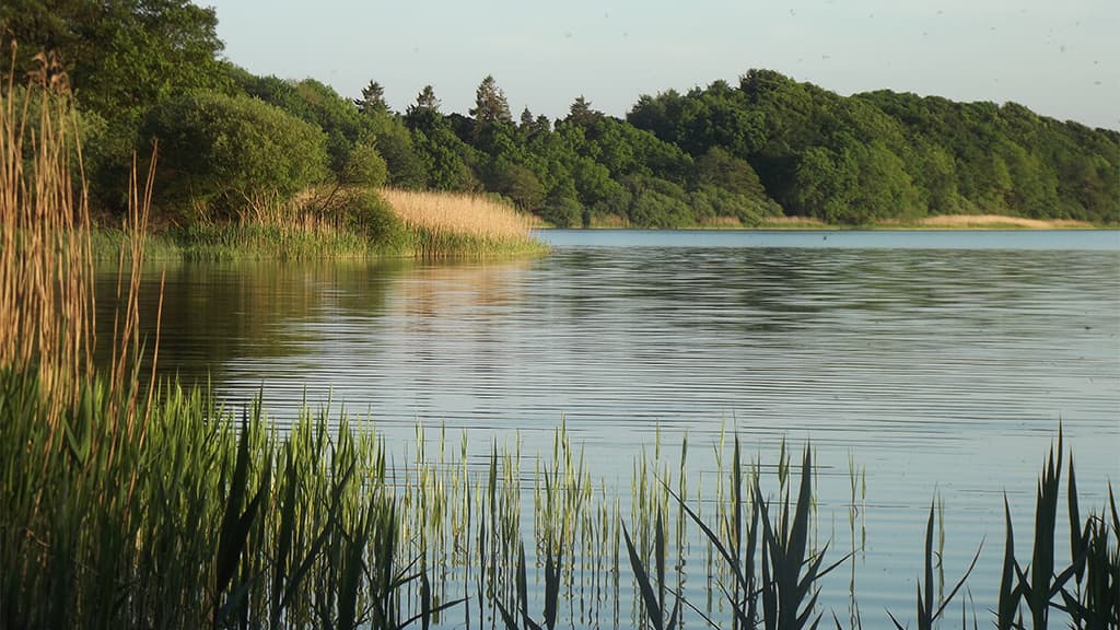 Jels Midtsø - hiking route