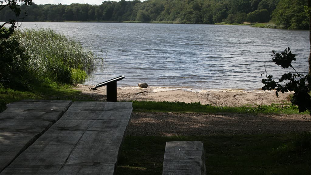 Jels Midtsø