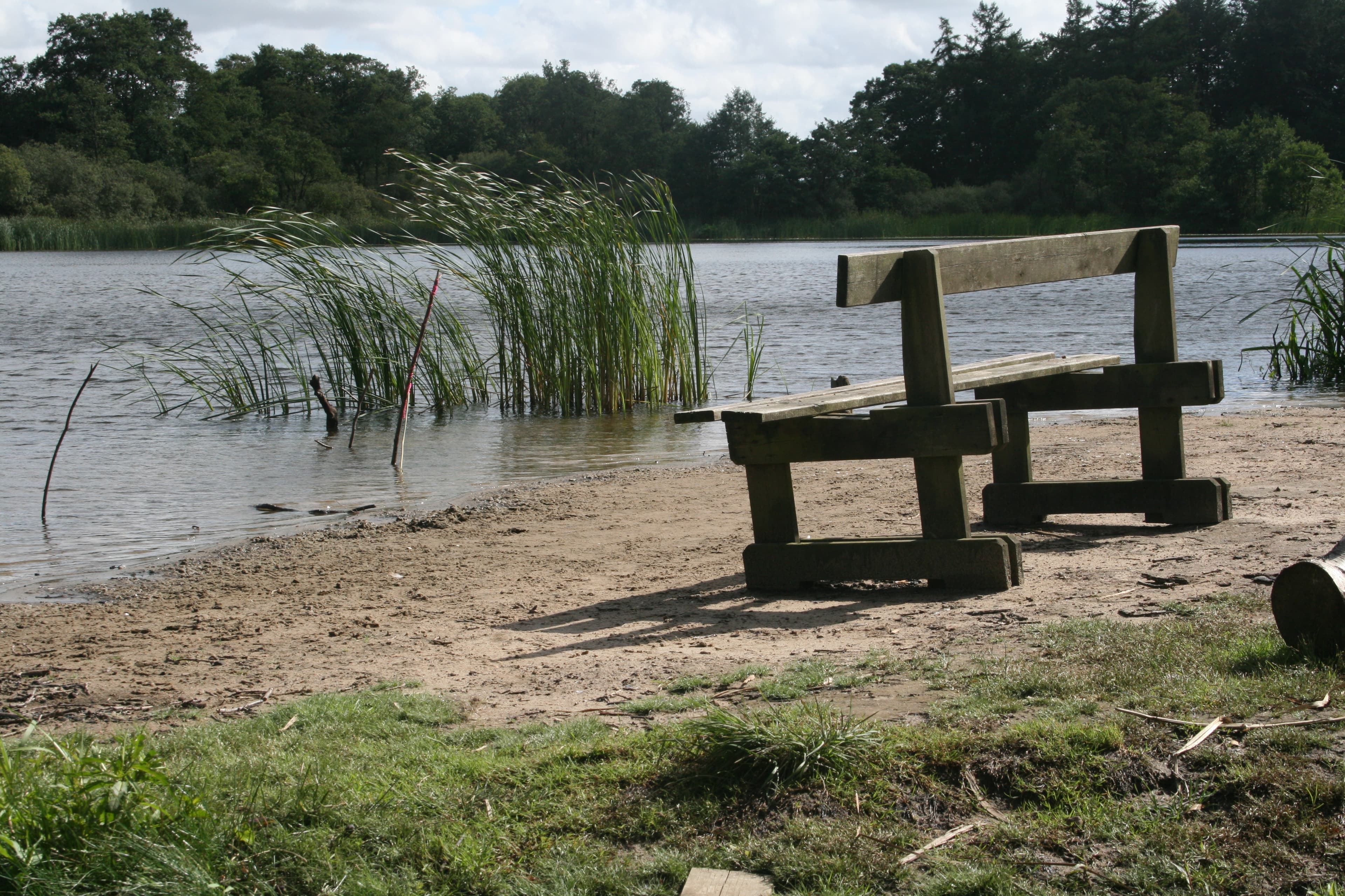 Jels Voldsted, nature